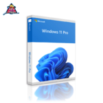 Windows 11 PRO